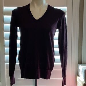 Banana Republic Deep Purple V-Neck Sweater